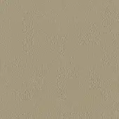 PF_47 Cipria - Powder